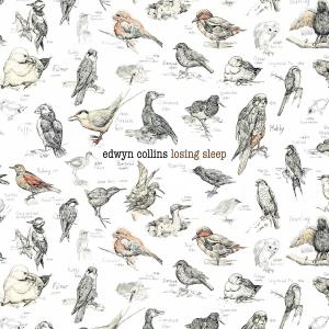 Losing Sleep - Edwyn Collins - Musiikki - HEAVE - 0602527487892 - tiistai 2. heinäkuuta 2013