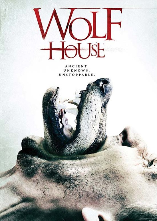 Cover for Wolf House (DVD) (2017)