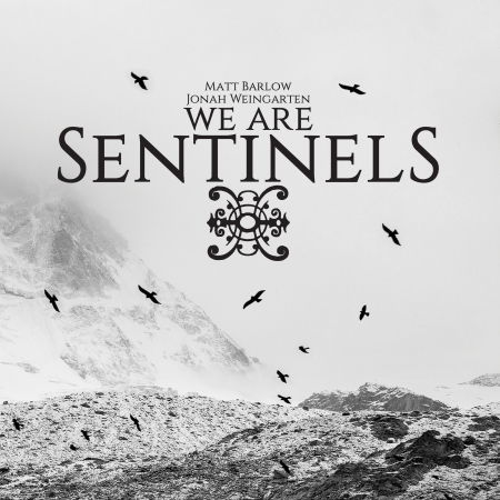 We Are Sentinels - We Are Sentinels - Musikk - SAOL RECORDS - 4260177741892 - 13. juli 2018