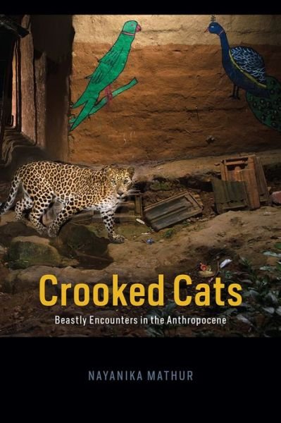 Cover for Nayanika Mathur · Crooked Cats: Beastly Encounters in the Anthropocene - Animal Lives (Hardcover Book) (2021)