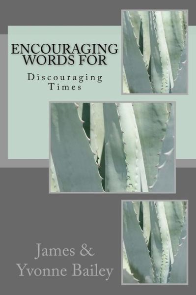 Encouraging Words for Discouraging Times - Yvonne Bailey - Books - Created For His Pleasure! - 9780692617892 - March 3, 2016