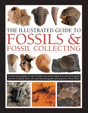Cover for Steve Parker · Fossils &amp; Fossil Collecting, The Illustrated Guide to: A reference guide to over 375 plant and animal fossils from around the globe and how to identify them, with over 950 photographs and artworks (Hardcover Book) (2019)