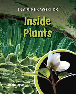 Cover for Barbara Taylor · Inside plants (Book) (2011)