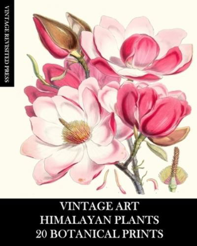 Vintage Revisited Press · Vintage Art (Paperback Book) (2024)