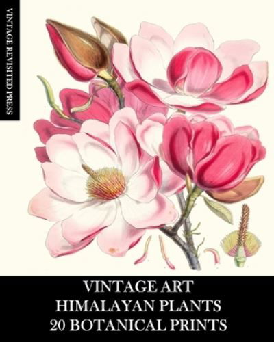 Cover for Vintage Revisited Press · Vintage Art (Pocketbok) (2024)