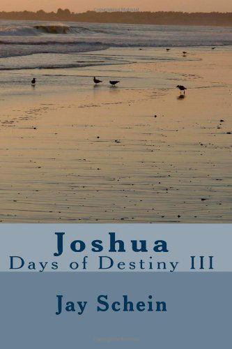 Joshua: Days of Destiny III - Jay Schein - Kirjat - CreateSpace Independent Publishing Platf - 9781456504892 - lauantai 15. tammikuuta 2011