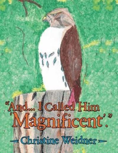 Christine Weidner · "And... I Called Him 'Magnificent'." (Pocketbok) (2016)