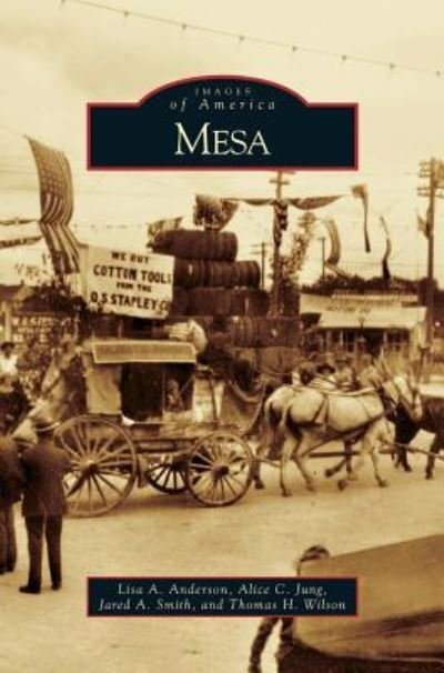 Cover for Lisa A Anderson · Mesa (Innbunden bok) (2008)