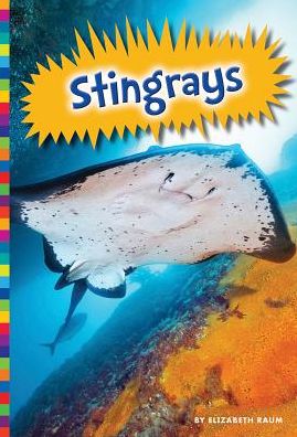 Stingrays - Elizabeth Raum - Książki - Amicus High Interest - 9781607537892 - 1 sierpnia 2015