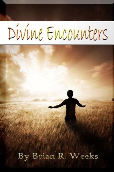 Cover for Brian R Weeks · Divine Encounters (Paperback Book) (2017)