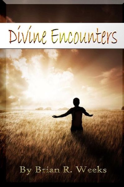 Cover for Brian R Weeks · Divine Encounters (Pocketbok) (2017)