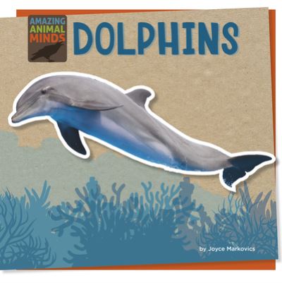 Dolphins - Joyce Markovics - Książki - Cherry Lake Publishing - 9781668927892 - 1 sierpnia 2023