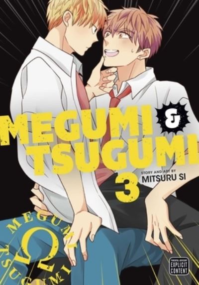 Cover for Mitsuru Si · Megumi &amp; Tsugumi, Vol. 3 - Megumi &amp; Tsugumi (Paperback Book) (2023)