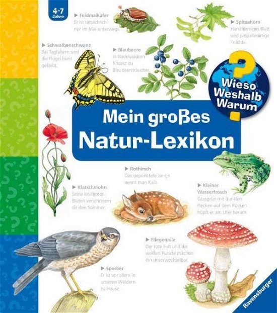 Cover for Sandra Noa · Mein großes Natur-Lexikon (Leketøy)