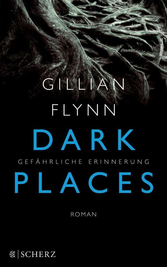 Cover for Flynn · Dark Places - Gefährliche Erinner (Book)