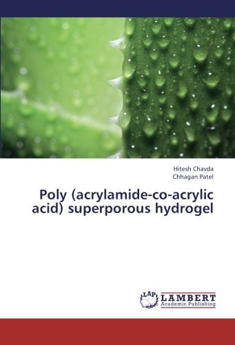 Cover for Chhagan Patel · Poly (Acrylamide-co-acrylic Acid) Superporous Hydrogel (Paperback Book) (2013)
