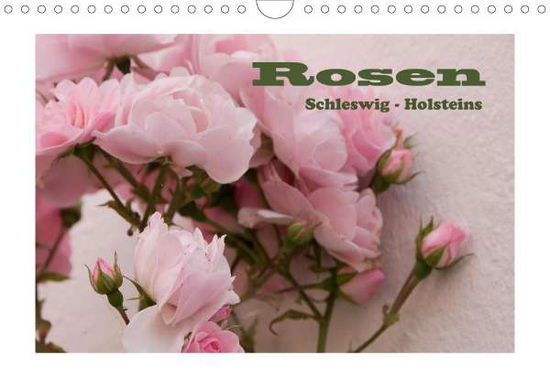 Cover for Kügler · Rosen Schleswig-Holsteins (Wandk (Book)