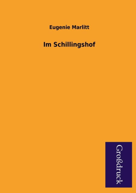 Cover for Eugenie Marlitt · Im Schillingshof (Paperback Book) [German edition] (2013)