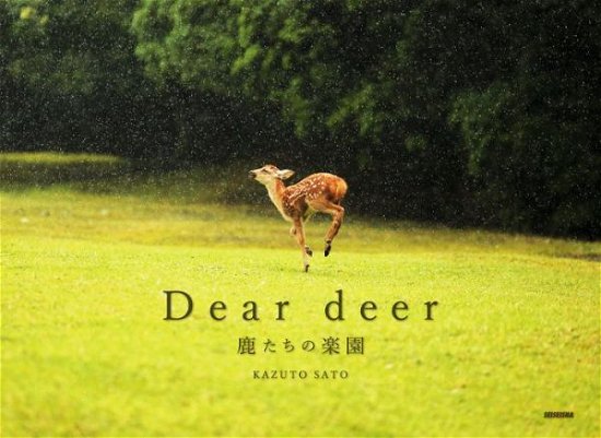 Cover for Kazuto Sato · Dear deer (Pocketbok) (2018)