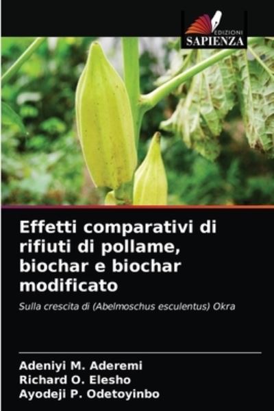 Cover for Adeniyi M Aderemi · Effetti comparativi di rifiuti di pollame, biochar e biochar modificato (Paperback Book) (2021)