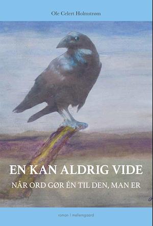 Ole Celert Holmstrøm · En kan aldrig vide (Sewn Spine Book) [1er édition] (2022)