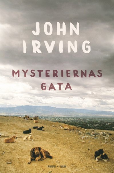 Mysteriernas gata - John Irving - Bøker - Wahlström & Widstrand - 9789146230892 - 18. mai 2017