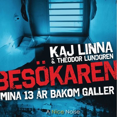 Cover for Theodor Lundgren · Besökaren : mina 13 år bakom galler (Audiobook (CD)) (2019)