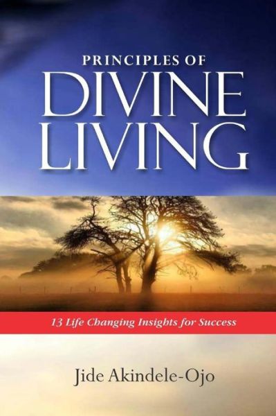 Cover for Jide Akindele-Ojo · Principles of Divine Living (Paperback Book) (2018)