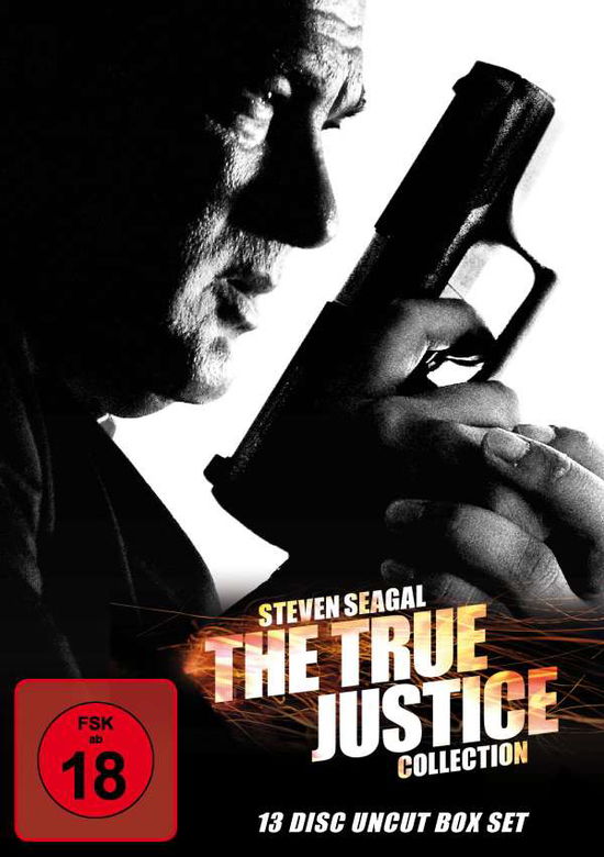 The True Justice Box Set - Steven Seagal - Filmes - SPLENDID FILM GMBH - 4013549075893 - 24 de junho de 2016