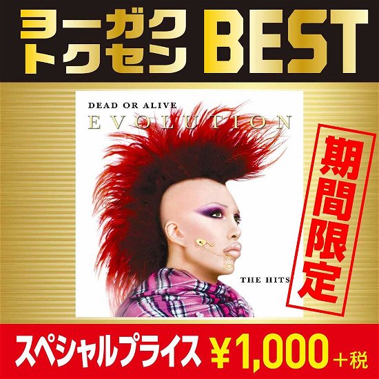 Cover for Dead or Alive · Evolution : the Best of Dead or Alive &lt;limited&gt; (CD) [Japan Import edition] (2019)