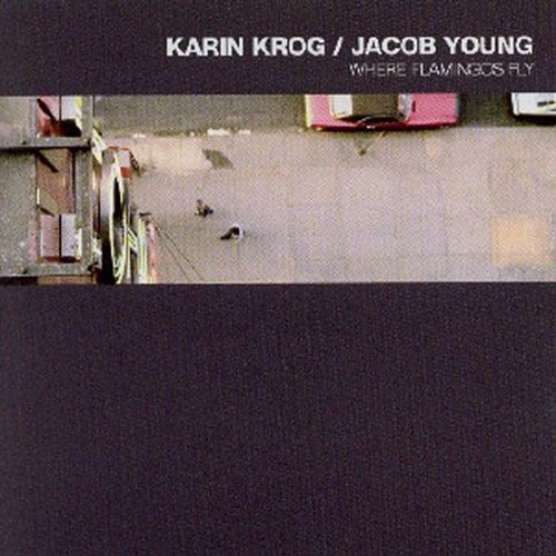 Cover for Karin Krog · Where Flamingos Fly (CD) (2017)
