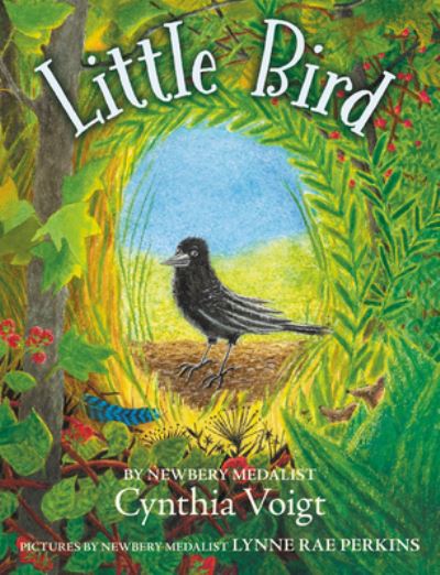 Little Bird - Cynthia Voigt - Books - HarperCollins - 9780062996893 - September 15, 2020