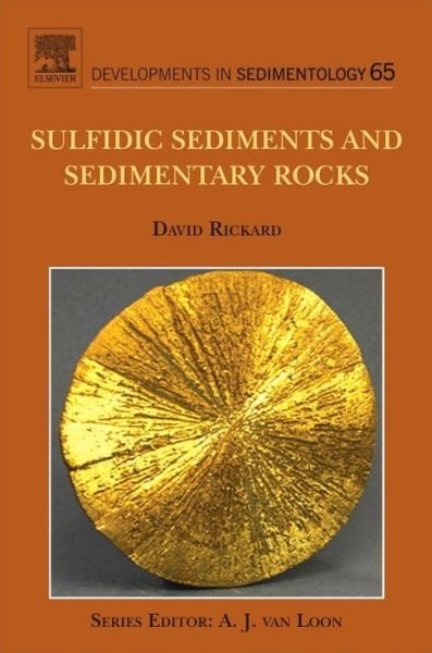 Cover for Rickard, David (School of Earth, Ocean and Planetary Sciences, Cardiff University, Cardiff, UK) · Sulfidic Sediments and Sedimentary Rocks - Developments in Sedimentology (Hardcover Book) (2012)