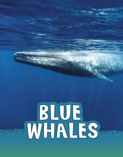 Cover for Mari Schuh · Blue Whales - Animals (Inbunden Bok) (2020)