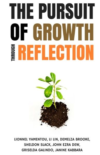 Cover for Lin Li · The Pursuit of Growth Through Reflection (Taschenbuch) (2016)