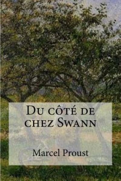 Du cote de chez Swann - Marcel Proust - Books - Createspace Independent Publishing Platf - 9781533095893 - May 4, 2016