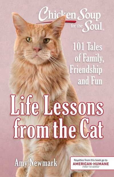 Cover for Amy Newmark · Chicken Soup for the Soul : Life Lessons from the Cat 101 Stories about Our Feline Friends and What Matters Most (Book) (2019)