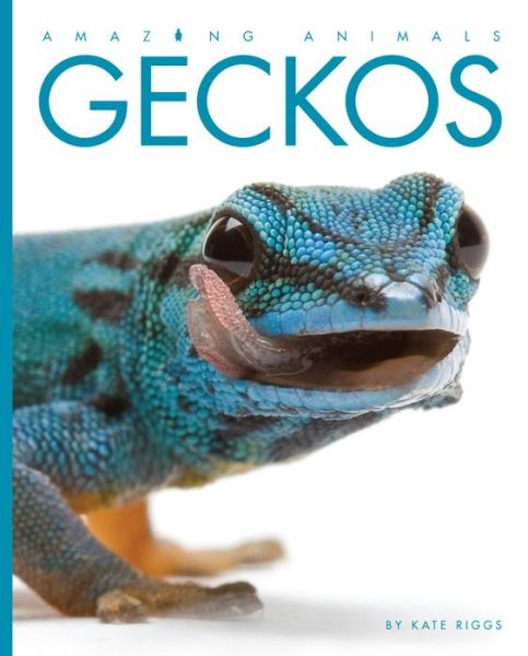 Cover for Kate Riggs · Amazing Animals: Geckos (Paperback Book) (2015)