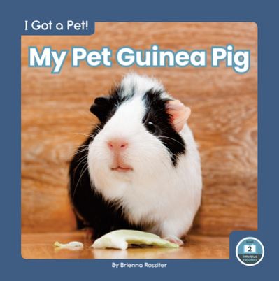 Cover for Brienna Rossiter · My Pet Guinea Pig - I Got a Pet! (Hardcover Book) (2022)