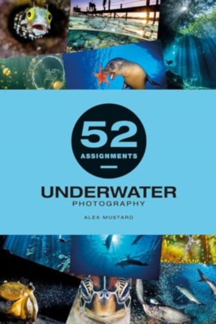 Alex Mustard · 52 Assignments: Underwater Photography - 52 Assignments (Hardcover Book) (2024)