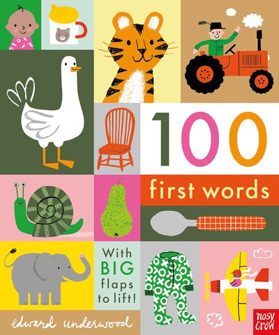 100 First Words - 100 First Words - Edward Underwood - Livres - Nosy Crow Ltd - 9781788004893 - 4 juillet 2019