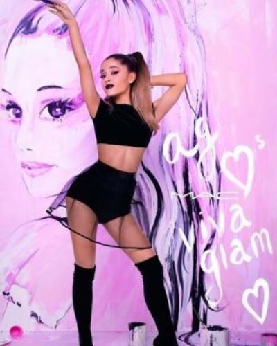 Cover for Darrell Butters · Ariana Grande Diary 2018 (Paperback Book) (2017)