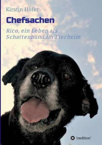 Cover for Höfer · Chefsachen (Bok) (2016)