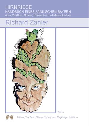 Cover for Richard Zanier · Hirnrisse (Hardcover Book) (2012)