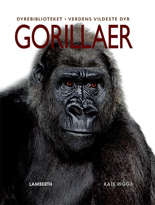 Cover for Kate Riggs · Verdens vildeste dyr: Gorillaer (Bound Book) [1. Painos] (2020)