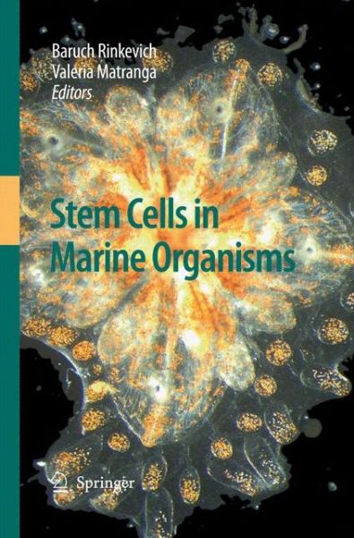 Cover for Baruch Rinkevich · Stem Cells in Marine Organisms (Paperback Book) [2009 edition] (2014)