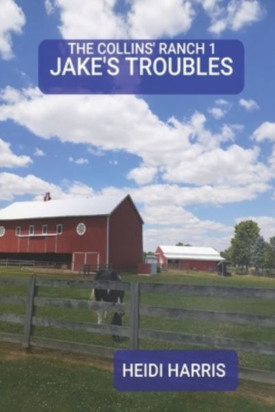 Jake's Troubles - The Collins' Ranch Trilogy - Heidi Harris - Livres - Independently Published - 9798653287893 - 11 juin 2020