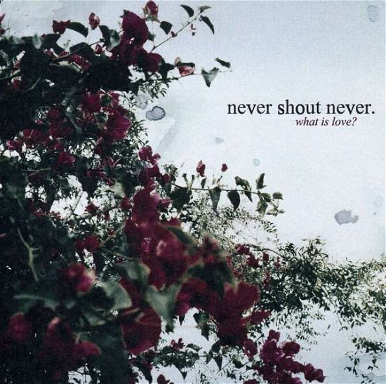 Cover for Never Shout Never · What is Love (Dbtr) (Cln) (CD) [Clean edition] (2010)