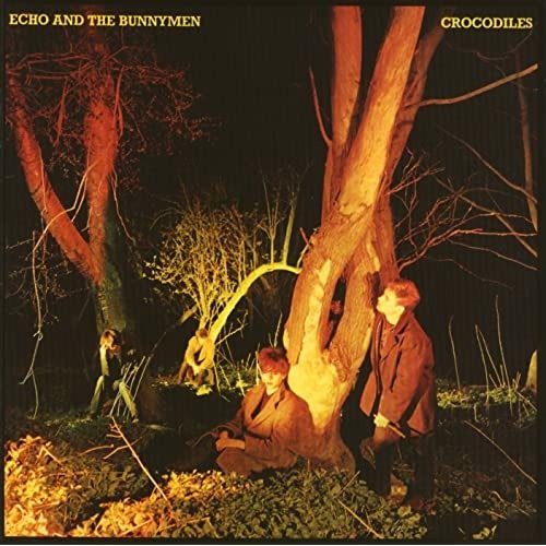 Cover for Echo &amp; the Bunnymen · Crocodiles (LP) (2021)
