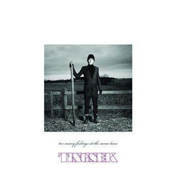 Cover for Tingsek · Too Many Feelings at the Same Time (CD) (2008)